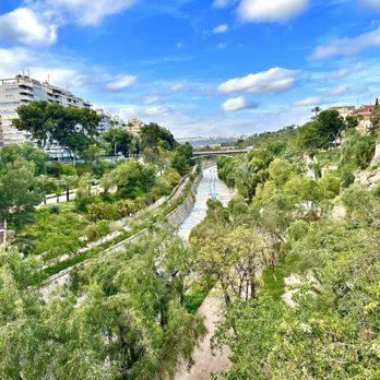 Parque Municipal - Parque Municipal - Parks Near Me - ElxElche, A
