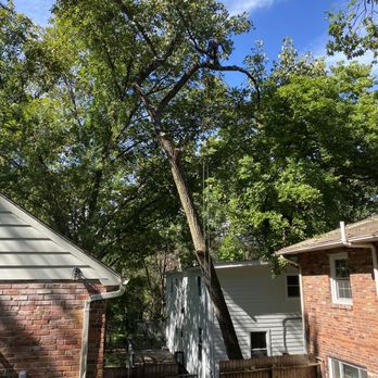 Ax Tree Services - Manual tree trimming high climbers - Landscaping Near Me - Bealeton , Virginia