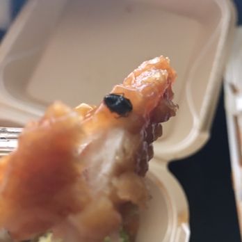 Dragon's Den - Roach in the food - Dive Bars Near Me - New Orleans, Louisiana