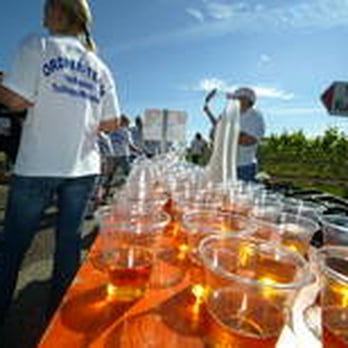 Trollinger Marathon - Races & Competitions Near Me - Heilbronn, BW