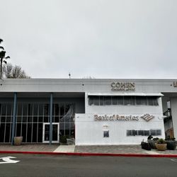 Cohen Chiropractic Clinic - Mar 24, 2025