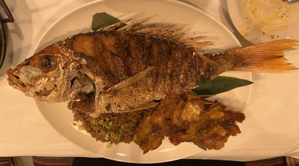 Baru Bistro & Tapas by null