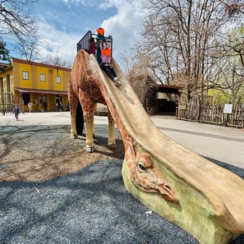 Zoo Boise - Giraffe Slide - Zoos Near Me - Boise, Idaho Zoo Boise - Giraffe Slide - Zoos Near Me - Boise, Idaho