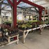 Andy's Creekside Nursery gift card