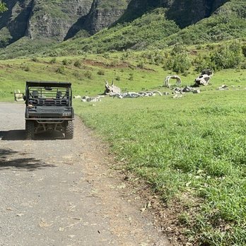 Kualoa Ranch - Tours Near Me - Kaneohe, Hawaii