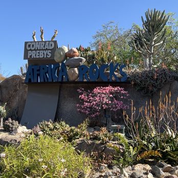 Africa Rocks - Zoos Near Me - San Diego, California Africa Rocks - Zoos Near Me - San Diego, California