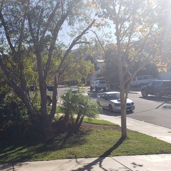 Ortega's Jr Tree Service - These trees were over grown . They were covering 1/2 of driveway and going on garage . Trimmed them down nicely - Tree Services Near Me - Riverside , California