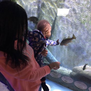 Outdoor Adventure Center - Aquarium with Fish - Planetarium Near Me - Detroit, Michigan Outdoor Adventure Center - Aquarium with Fish - Planetarium Near Me - Detroit, Michigan