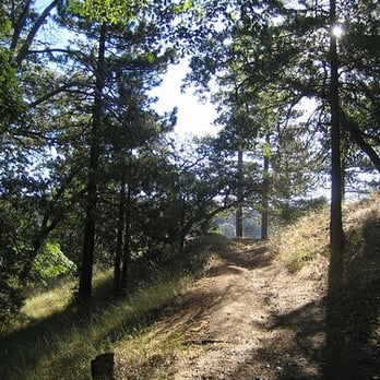 Tehachapi Mountain Park - Different trails - Hiking Near Me - Tehachapi, California