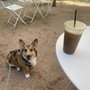 Photo of GOOD2GO
