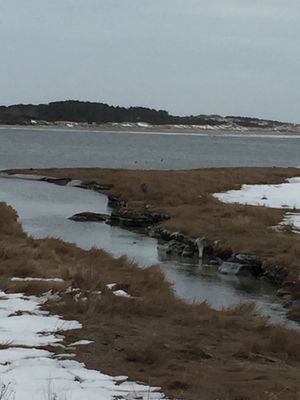 HORSENECK BEACH STATE RESERVATION - 86 Photos & 85 Reviews - Beaches ...