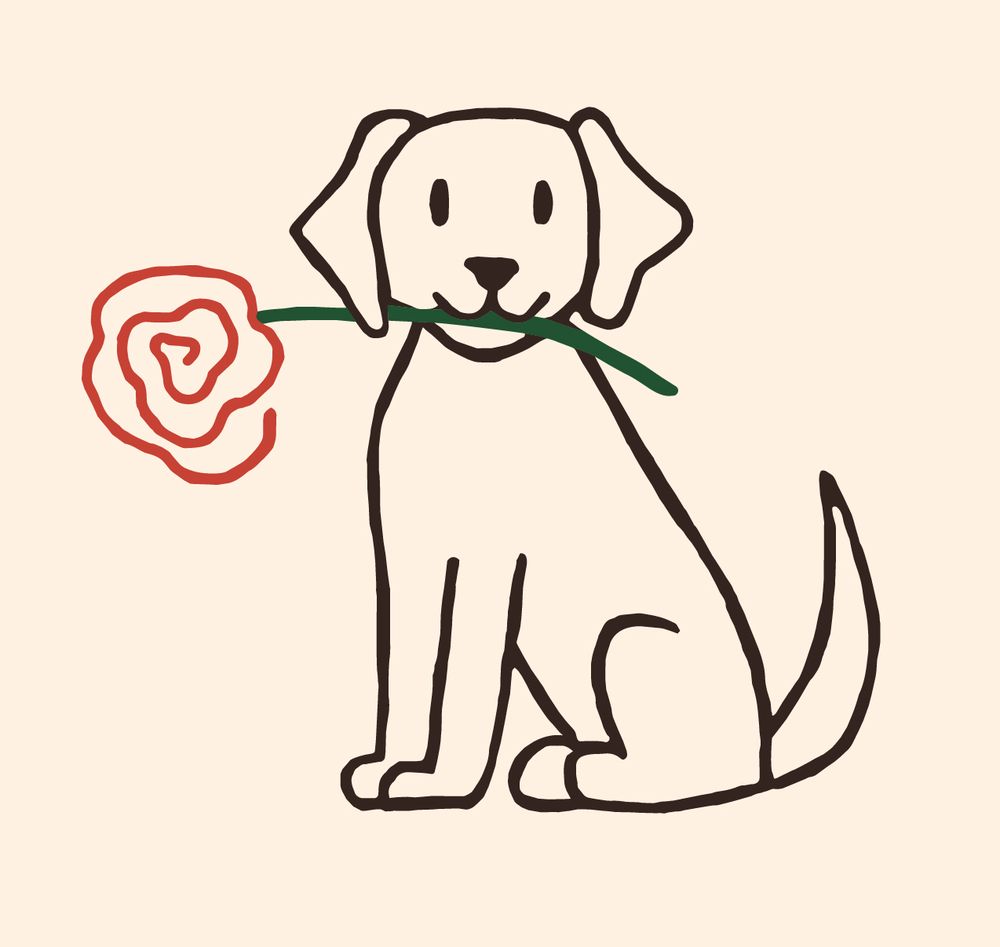 Red Rose Rover Club Logo