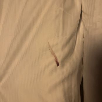 Hotel Cornelisz - blood stains - Hotels Near Me - Amsterdam, New Hampshire