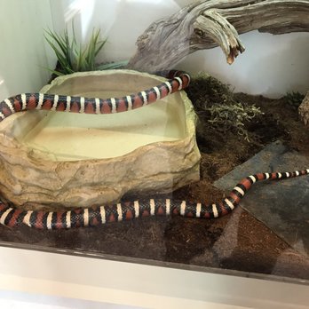 High Desert Museum - Museums Near Me - Bend, Oregon
