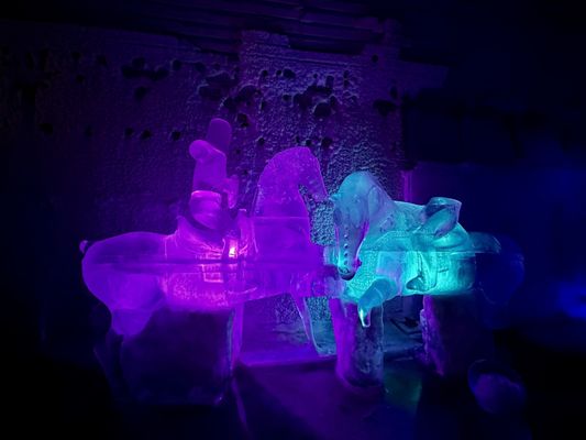 Aurora Ice Museum by null