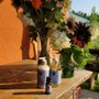 Soleado Lavender Farm