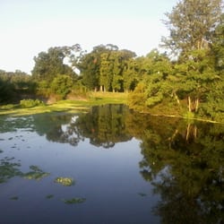 Greenwood in the morning