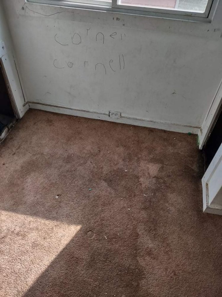 COOKS CLEANING SERVICE 16 Photos Euclid, Ohio Office Cleaning