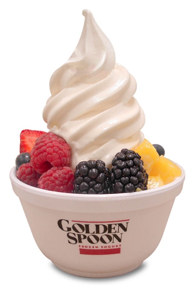 GOLDEN SPOON FROZEN YOGURT CLOSED 30 Photos & 49 Reviews 4437