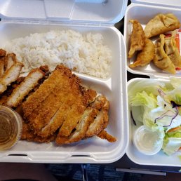 The tonkatsu, side salad and gyoza. The tonkatsu, side salad and gyoza.