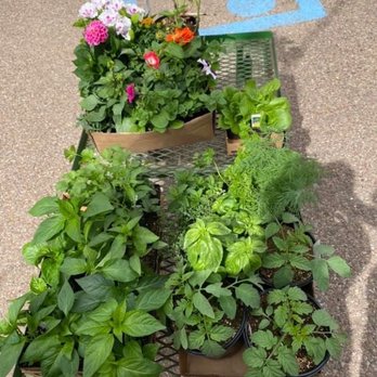 Flower Farm - All peppers and herbs a few flowers - Nurseries & Gardening Near Me - Great Falls, Montana