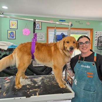 Van Cott Pet Grooming - Pet Groomers Near Me - New Milford, Pennsylvania Van Cott Pet Grooming - Pet Groomers Near Me - New Milford, Pennsylvania