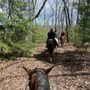 Appalachian Trail Rides