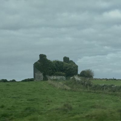 Burren National Park by null