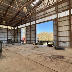 Black Barn Alpacas