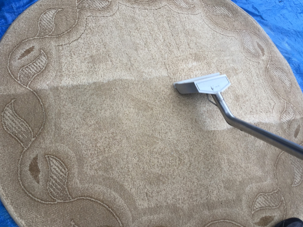 LONG ISLAND STEAMERS 61 Dartmouth St, Islip, New York Carpet