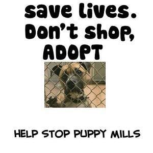 Jolies Puppies Image