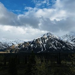 Denali Photo Guides