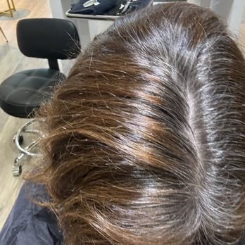 Balance Salon AVEDA - Glimpse of my hair roots just prior to the job. - Hair Salons Near Me - Tampa, Florida Balance Salon AVEDA - Glimpse of my hair roots just prior to the job. - Hair Salons Near Me - Tampa, Florida