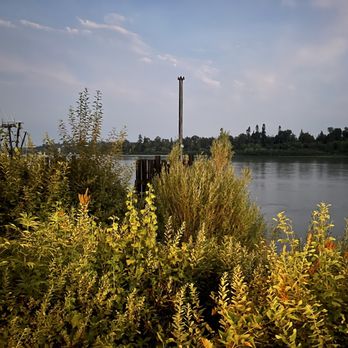 Kingfishers Waterfront Bar & Grill - That view makes it all worthwhile. - Gastropubs Near Me - Maple Ridge, British Columbia Kingfishers Waterfront Bar & Grill - That view makes it all worthwhile. - Gastropubs Near Me - Maple Ridge, British Columbia