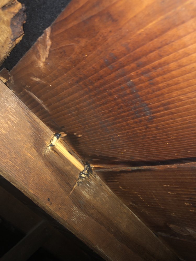 Slide of ANR Roofing