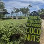 Kimo's Coconuts