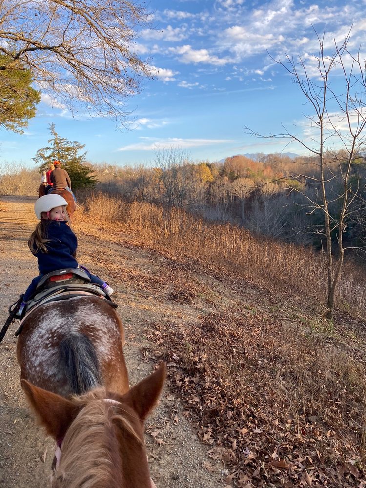 Twin Valley Horse Ranch - equestrian in Walland, TN
