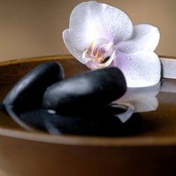 The Wellness Studio is in the calm and soothing office of The Village Doctor.