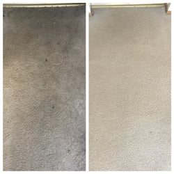 Oxi Fresh Carpet Cleaning