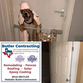 Butler Contracting - a dog looking through a hole in the wall - Handyman Near Me - Bastrop, Texas Butler Contracting - a dog looking through a hole in the wall - Handyman Near Me - Bastrop, Texas