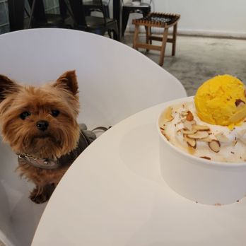 Da Vien Coffee - Her favorite - Desserts Near Me - Westminster, California