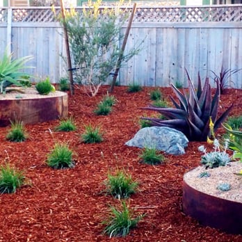 Rhythm & Roots - A masterpiece !!! - Landscaping Near Me
