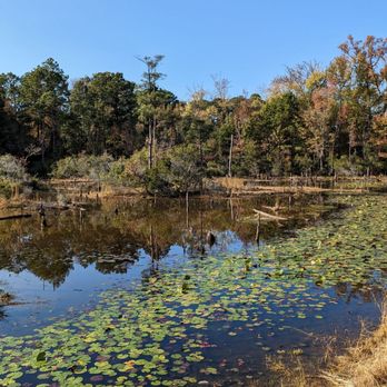 Restoration Park - Instagram: @telephonesmoothie - Parks Near Me - West Monroe, Louisiana Restoration Park - Instagram: @telephonesmoothie - Parks Near Me - West Monroe, Louisiana