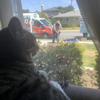 Prodigy Plumbing - The cat enjoyed supervising - Plumbing Near Me - Long Beach, California Prodigy Plumbing - The cat enjoyed supervising - Plumbing Near Me - Long Beach, California