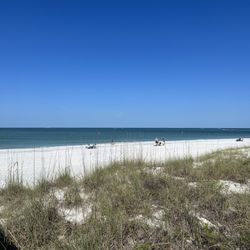 Sunshine Beach - Beach