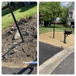 Endless Solutions Landscaping - Stump Removal, New Grass