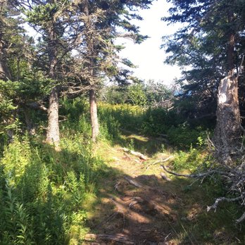 Quoddy Head State Park - Hiking Near Me - Lubec, Maine Quoddy Head State Park - Hiking Near Me - Lubec, Maine
