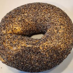 The Blue House Bagel Co. & Cafe - Our free bagel courtesy of their first anniversary celebration