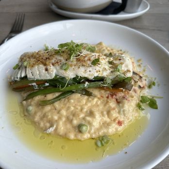 Oceanic - Halibut - Seafood Near Me - Pompano Beach, Florida