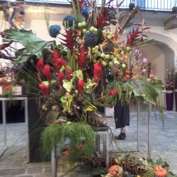Florist Klima